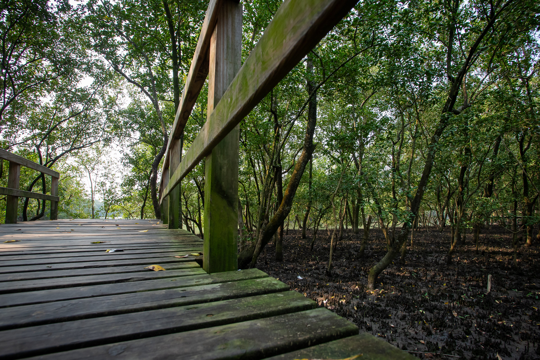 Fotos: Allan Carvalho/PMF