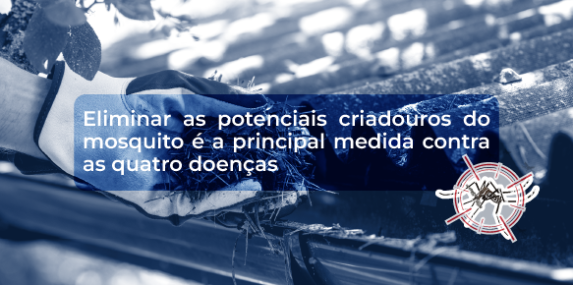 Imagem 4