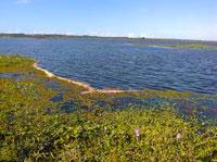 Audiência pública debate a preservação da Lagoa de Sombrio