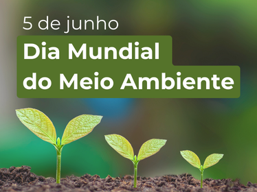 Dia Mundial do Meio Ambiente: as ações do MPSC por um futuro ecologicamente equilibrado