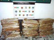 122 quilos de maconha apreendidos no sul de SC
