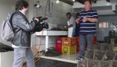 TV do MPSC mostra como a fiscalização dos pescados protege a saúde do consumidor