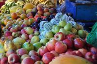Abertas as inscrições para o Fórum de Combate aos Agrotóxicos