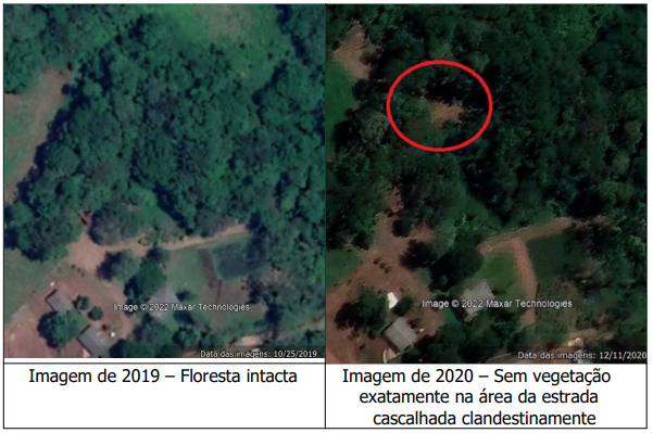 Denunciado pelo MPSC por destruir floresta de preservação permanente é condenado em Chapecó