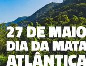 No Dia da Mata Atlântica, MPSC alerta para a importância da preservação do bioma como forma de resguardar os recursos hídricos