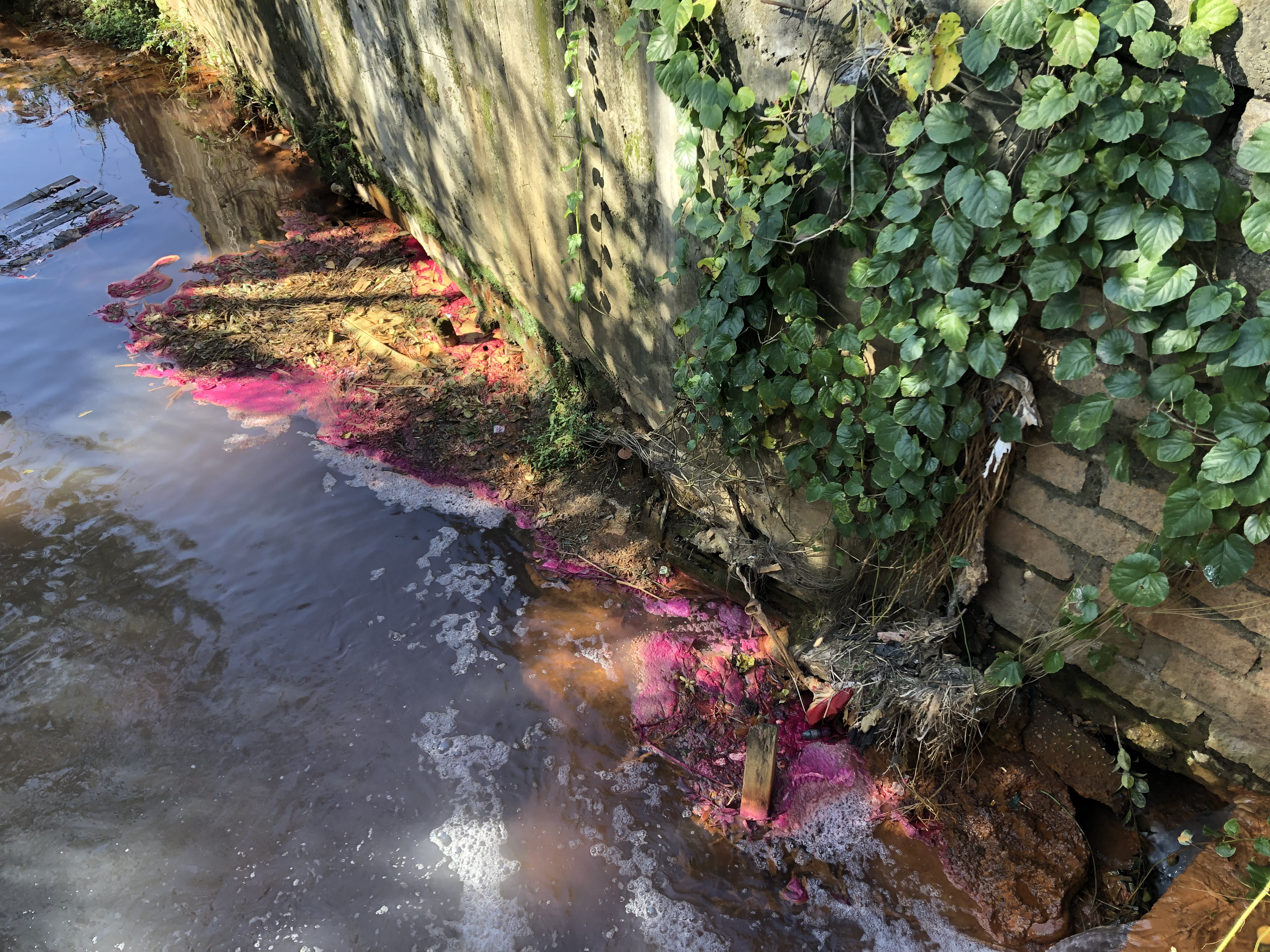 MPSC requisita inquérito policial para apurar possível crime ambiental de poluição no rio Linha Anta, em Criciúma