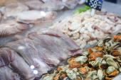 Fiscalização do POA interdita peixaria no Mercado Público de Florianópolis