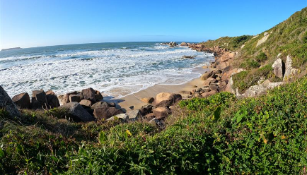MPSC instaura procedimento para fiscalizar proposta legislativa que pode fragilizar unidades de conservação em Florianópolis