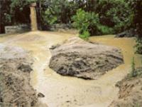 Proibidas licenças sem avaliar impacto ambiental