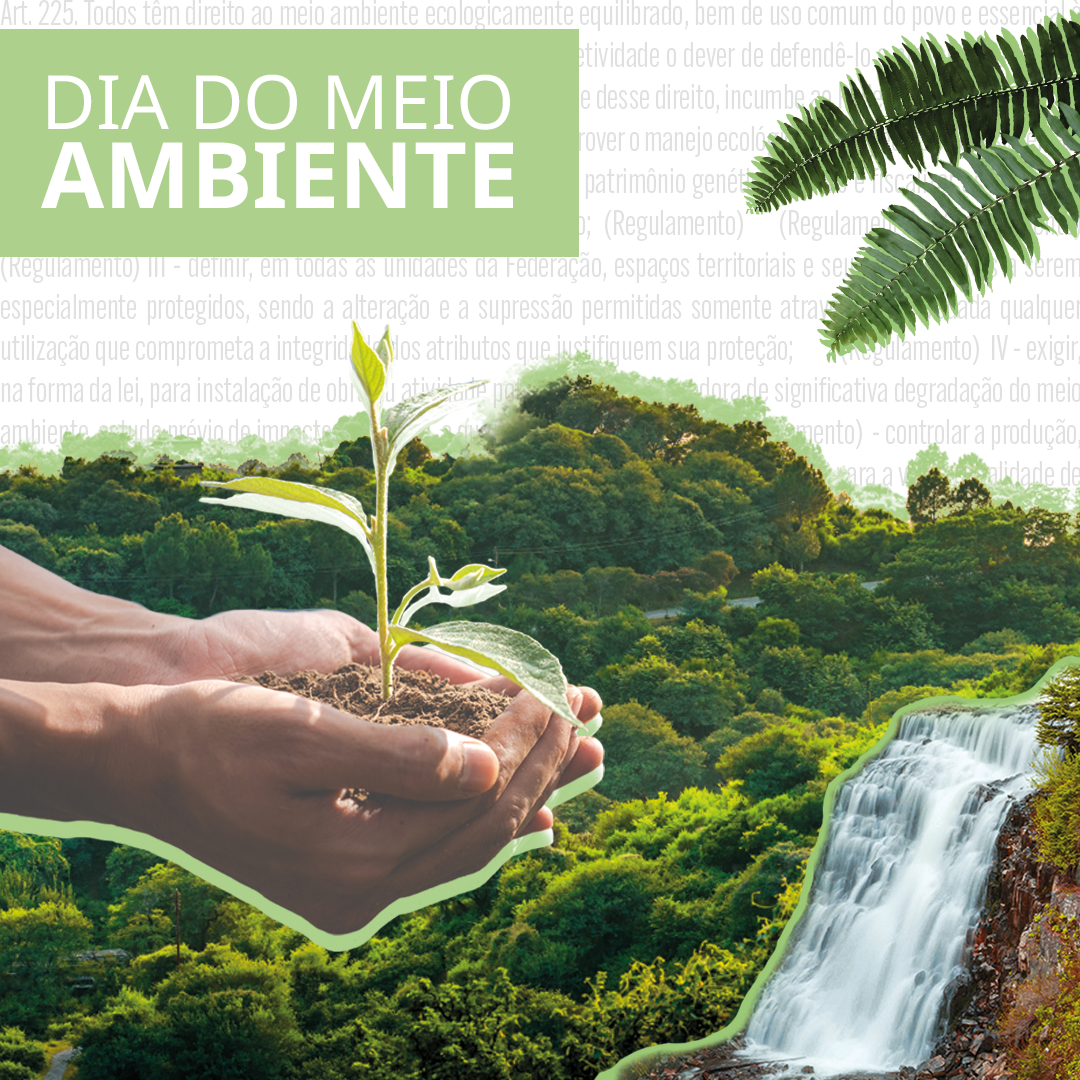 Das florestas às cidades, conheça como o MPSC trabalha para proteger o meio ambiente e garantir a reparação de danos à sociedade