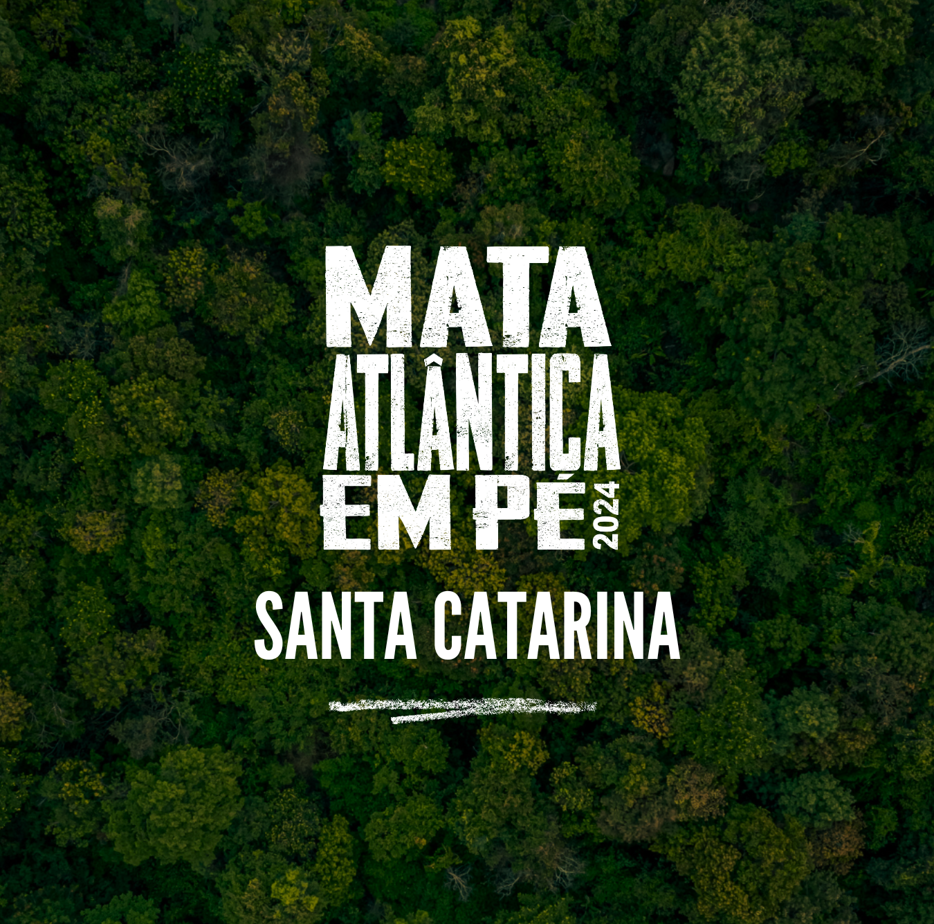 Nova edição da Operação Mata Atlântica em Pé acontece em 17 estados e combate o desmatamento, uma das principais causas das mudanças climáticas