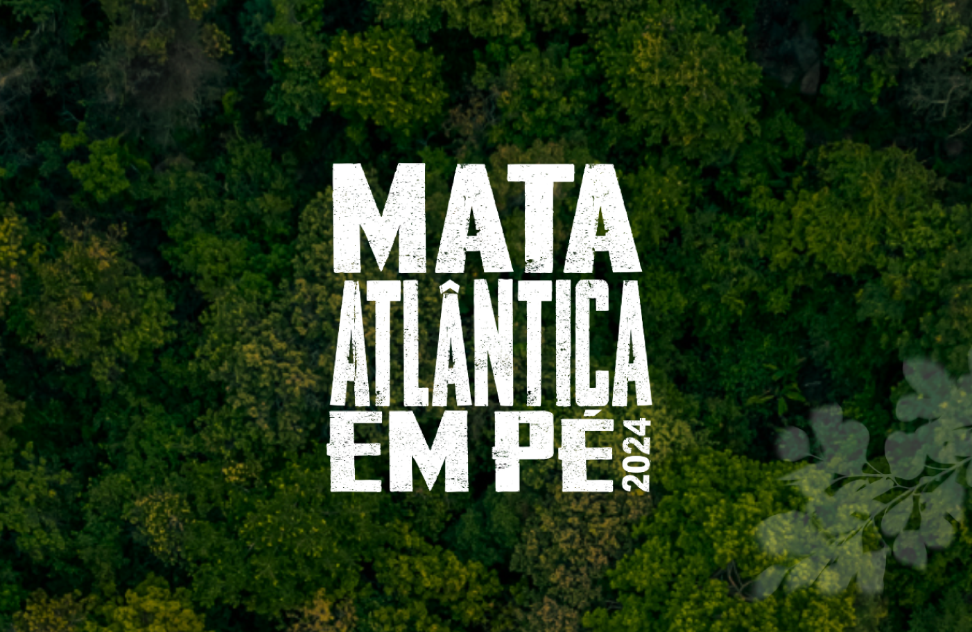 Operação Mata Atlântica em Pé identifica 285 hectares de desmatamento irregular em SC