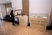Exposição marca os 15 anos do Arquivo do MPSC