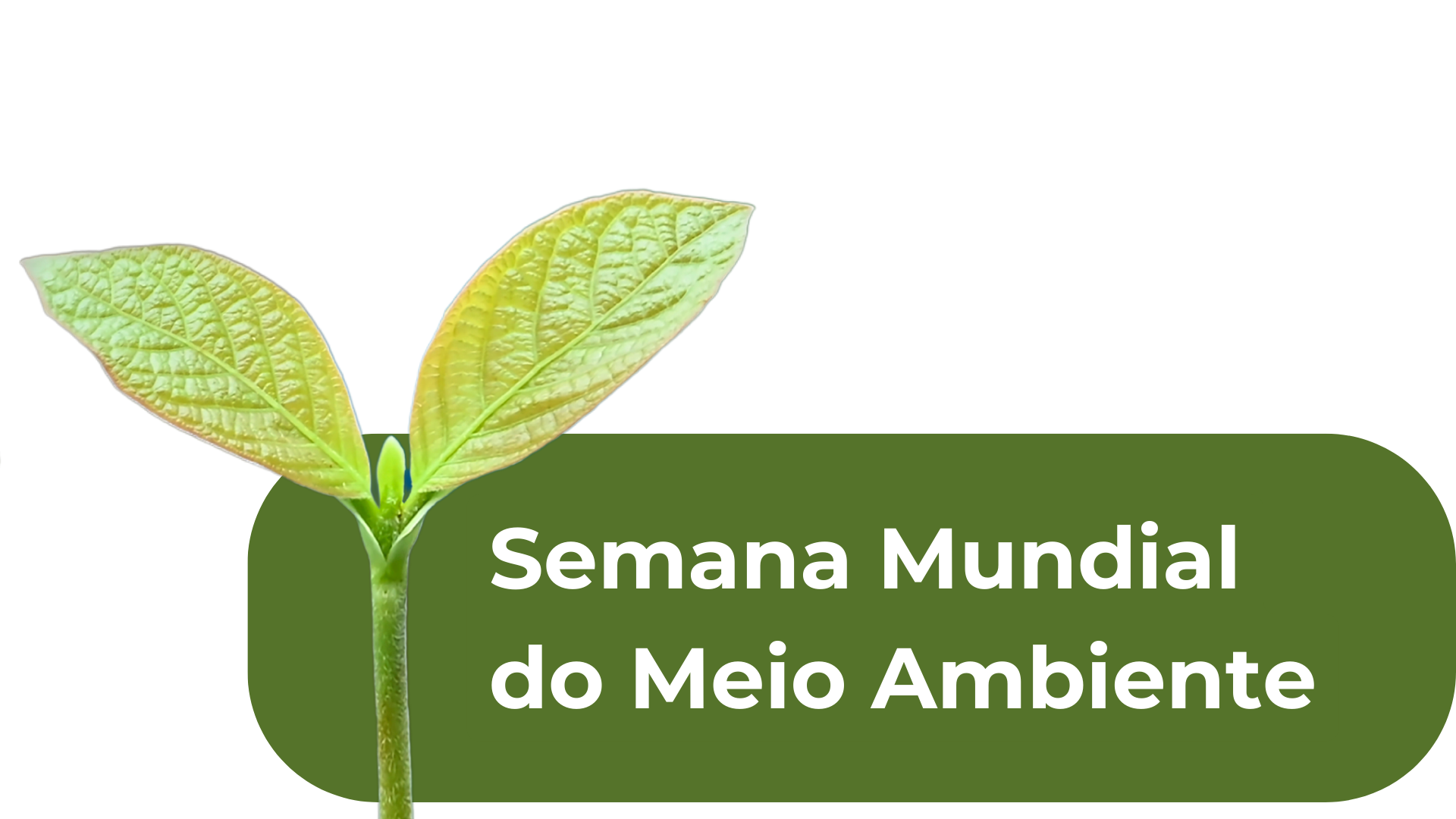 Em Itajaí, MPSC ajuíza ação civil contra metalúrgica e Município por poluição sonora