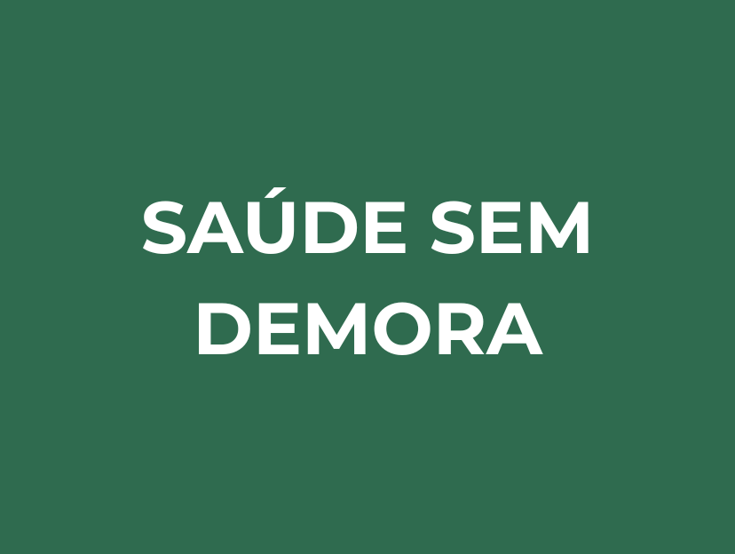 Saúde Sem Demora
