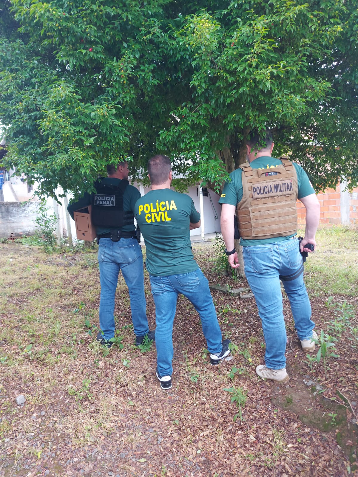 GAECO do MPSC apoia operação do MPRO contra delito de ocupação de terra pública